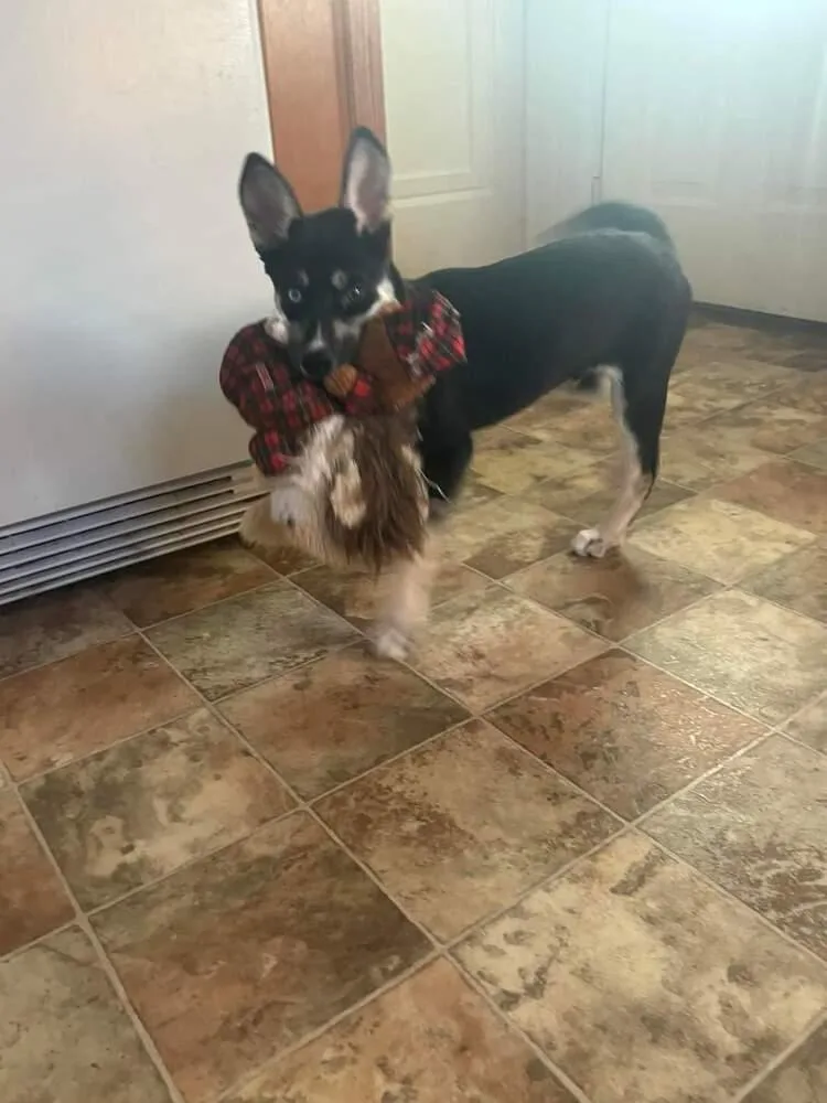 Side Eye thumbnail 2