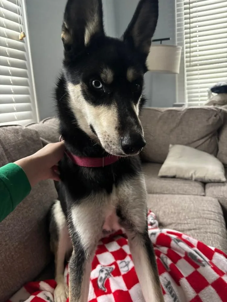 Side Eye thumbnail 5