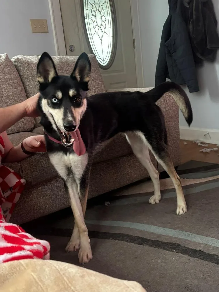 Side Eye thumbnail 6