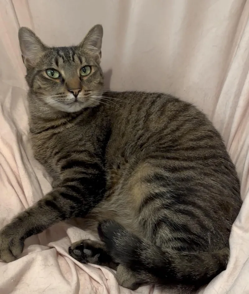 Uncle Ben thumbnail 2