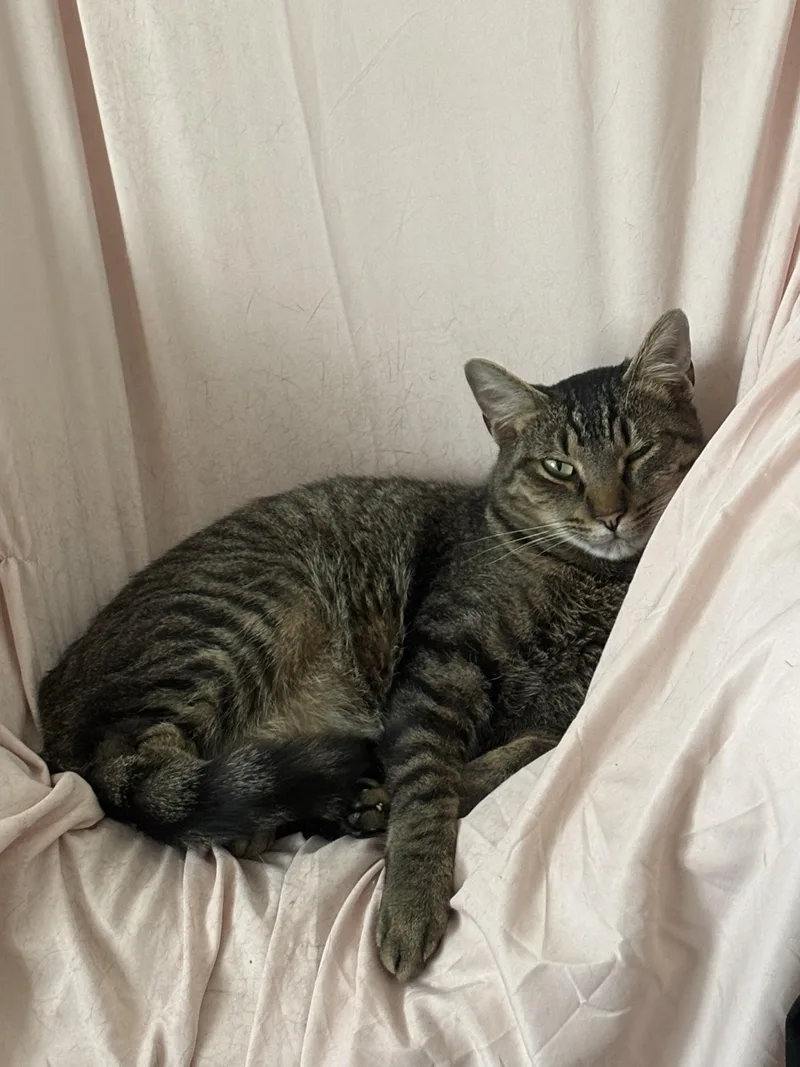 Uncle Ben thumbnail 4