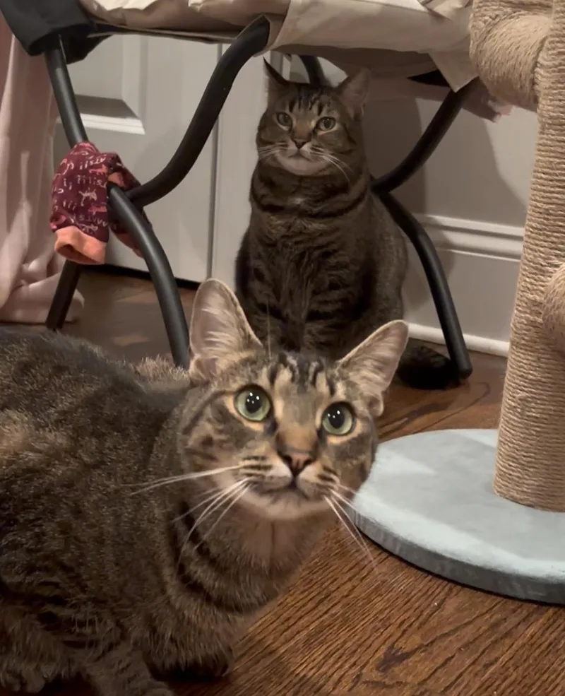 Uncle Ben thumbnail 5