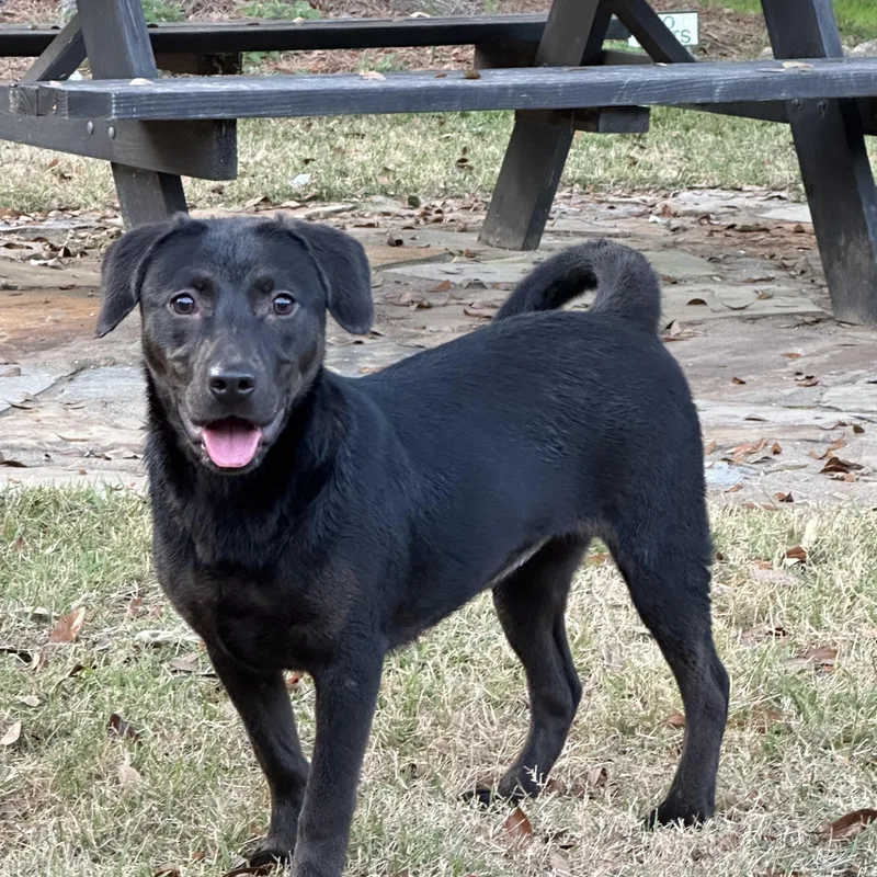 Cinder… Lbs Of Perfection!!!