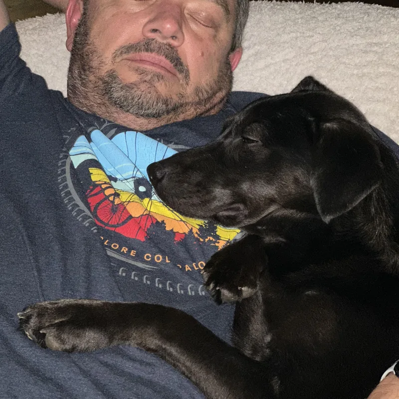 Cinder… Lbs Of Perfection!!! thumbnail 4