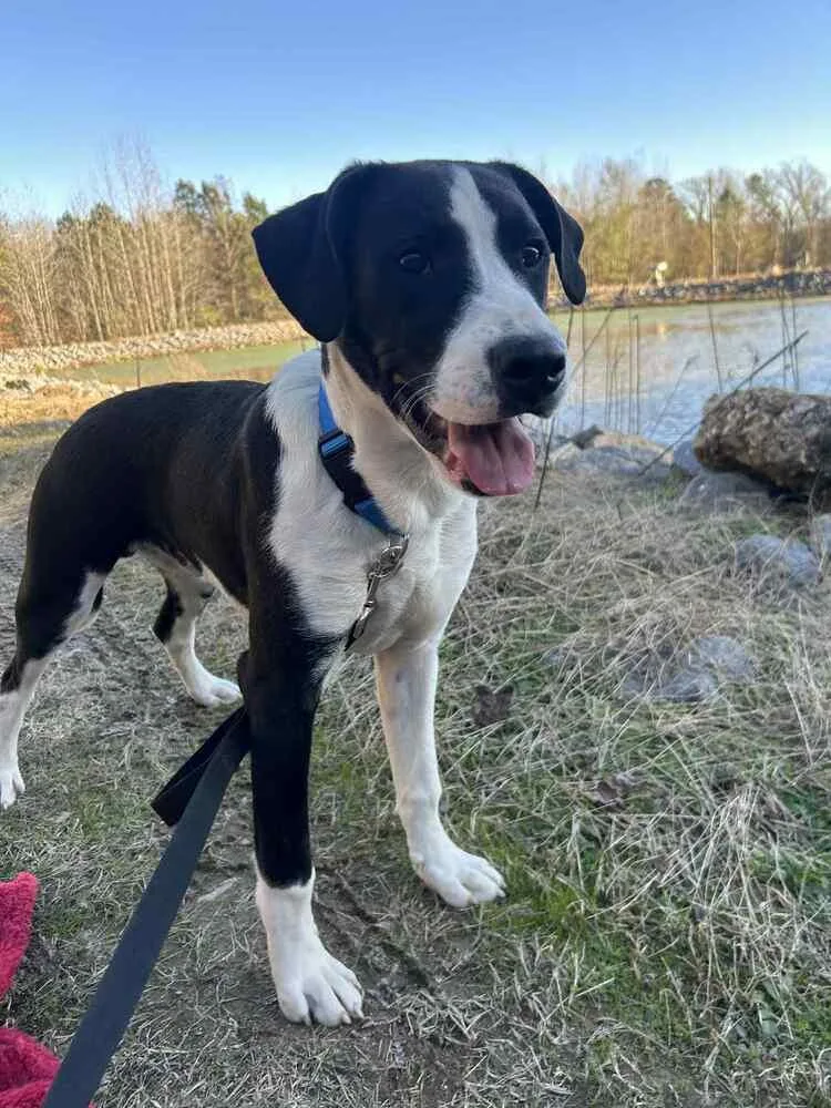 Luke Bow thumbnail 2