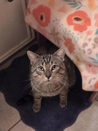 Billy Ray thumbnail 2