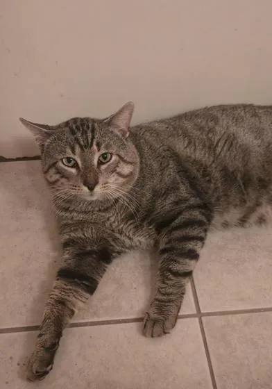 Billy Ray thumbnail 3