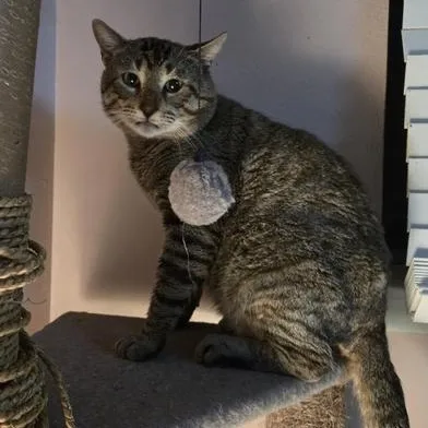 Billy Ray thumbnail 5