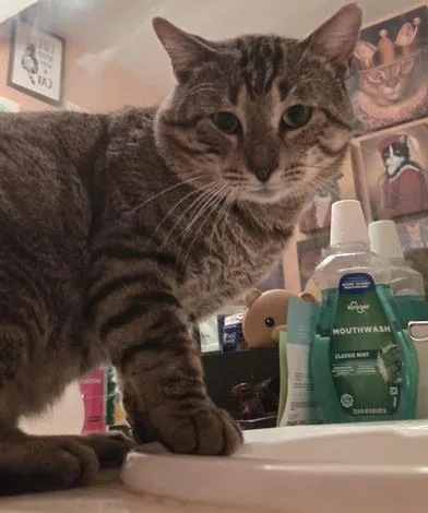 Billy Ray thumbnail 6