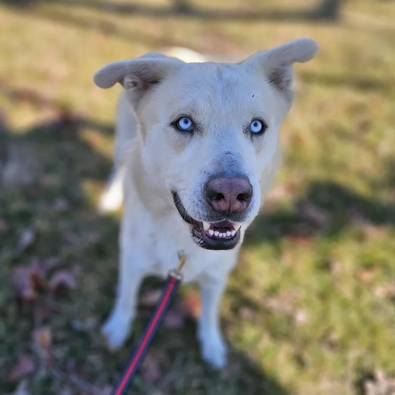 Tortilla thumbnail 2