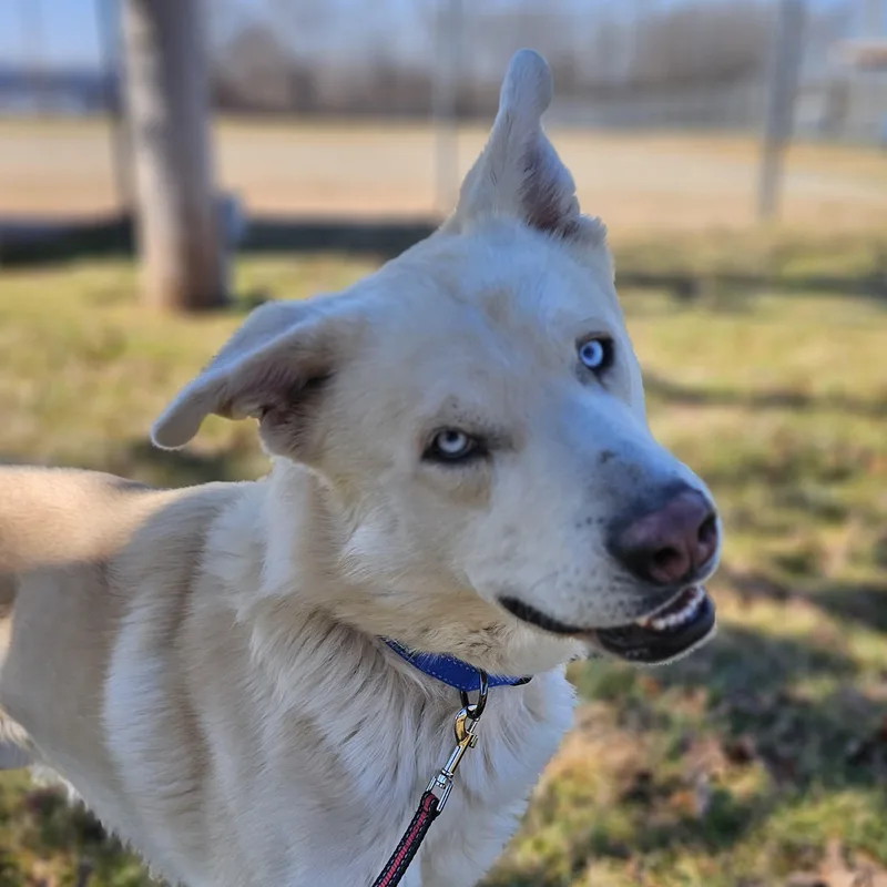 Tortilla thumbnail 4