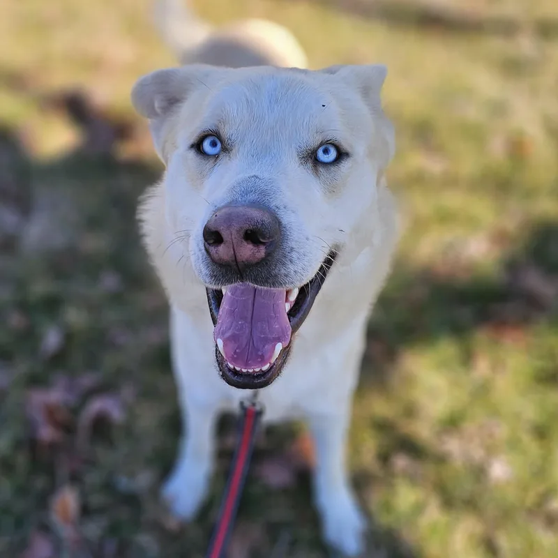 Tortilla thumbnail 5