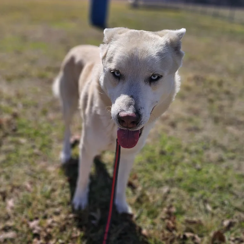 Tortilla thumbnail 6