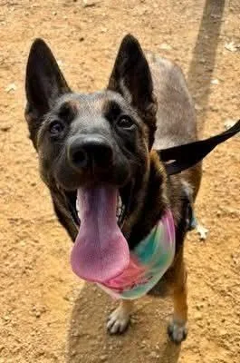 Ginny Located In Colorado thumbnail 3