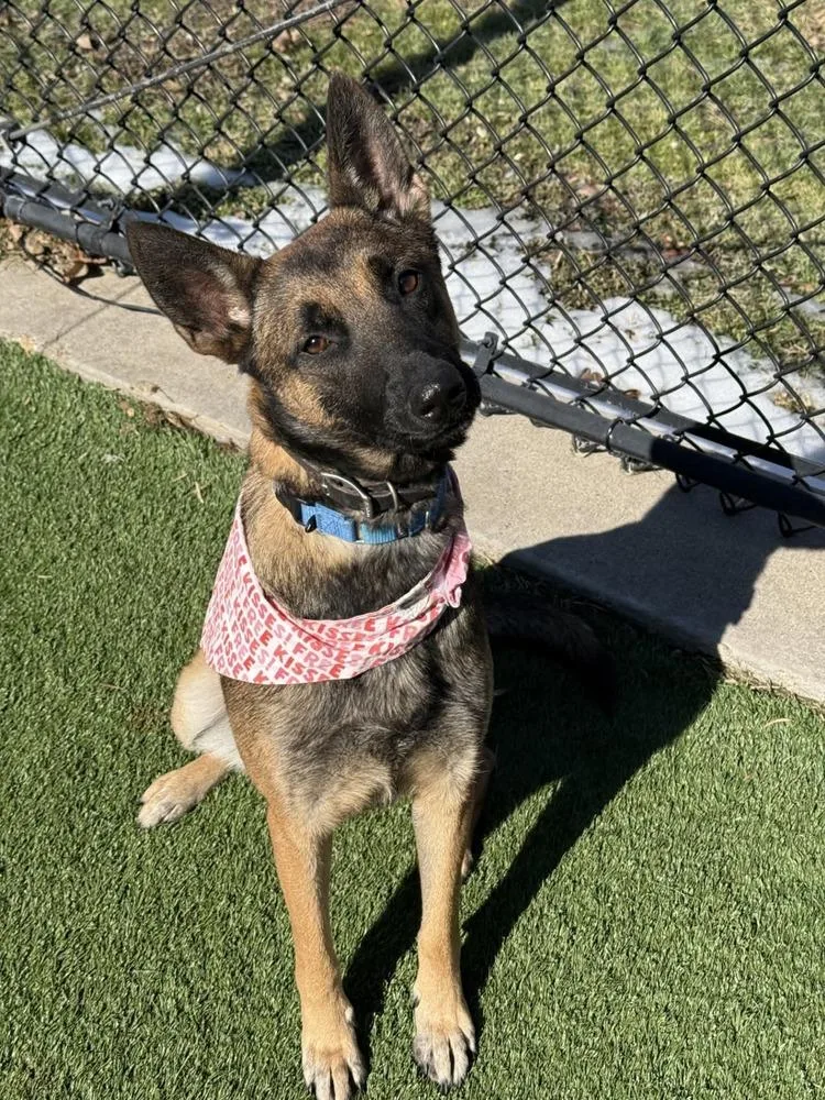 Ginny Located In Colorado thumbnail 4