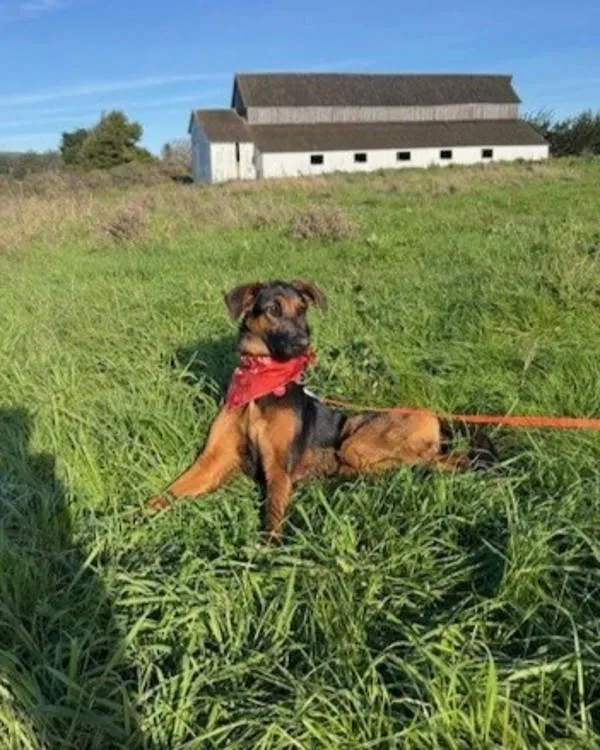 Charlotte thumbnail 2