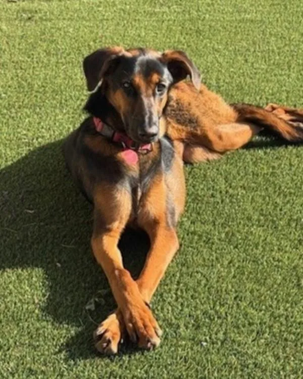 Charlotte thumbnail 4