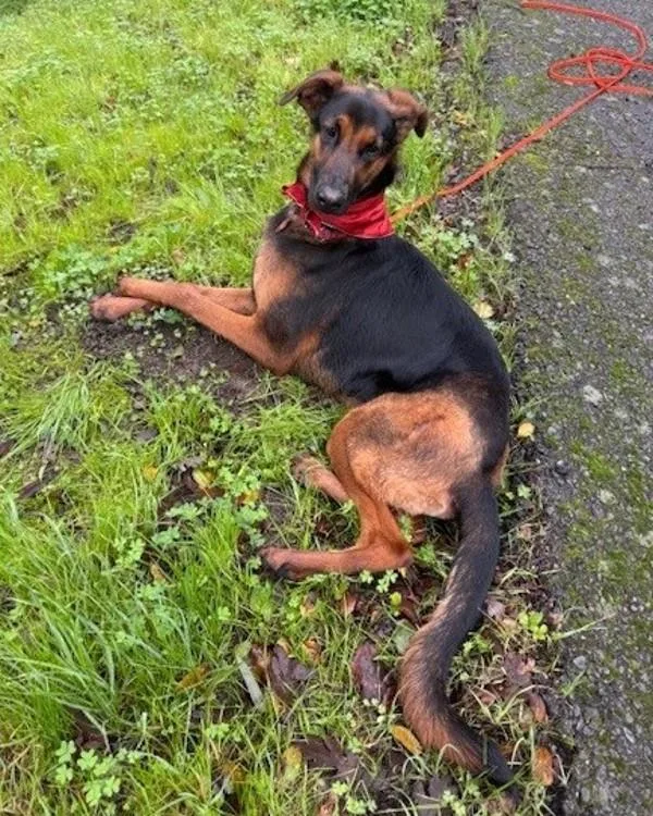 Charlotte thumbnail 5