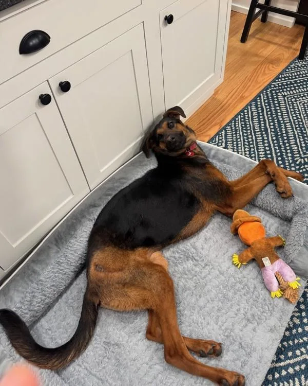 Charlotte thumbnail 6