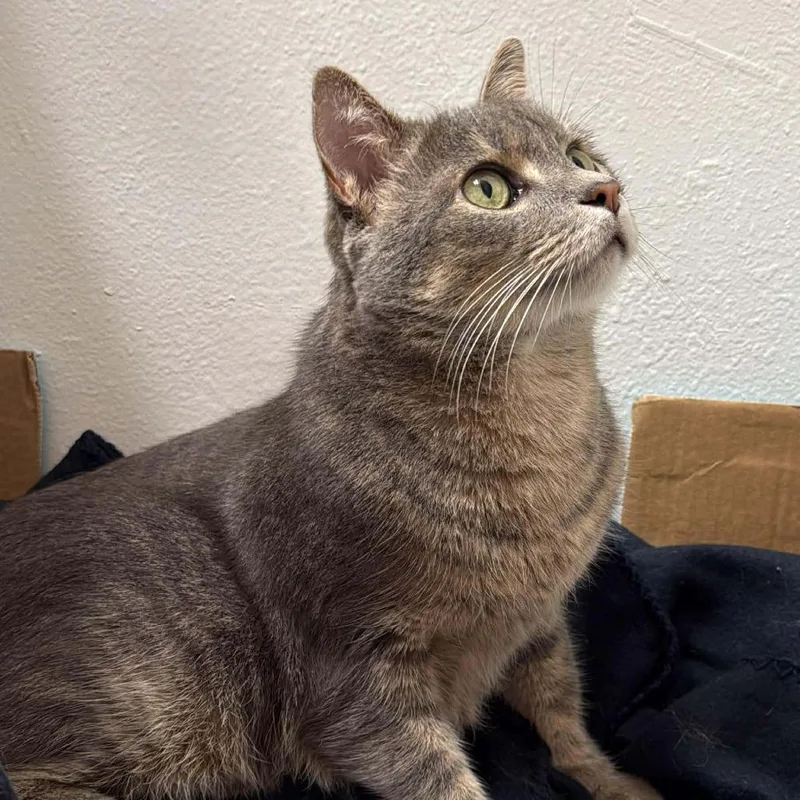 Little Guy thumbnail 2