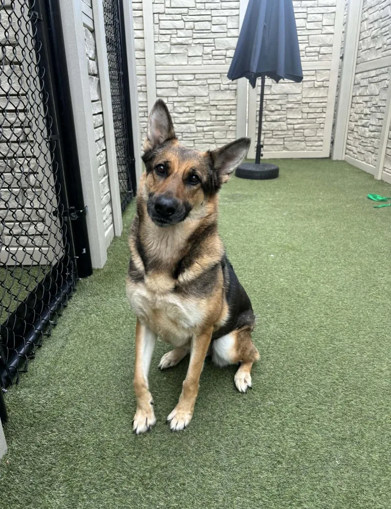 Patricia thumbnail 3