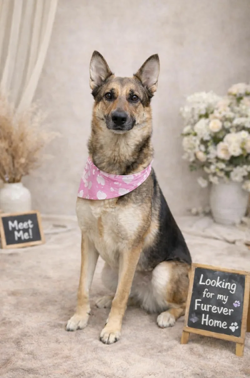 Patricia thumbnail 5