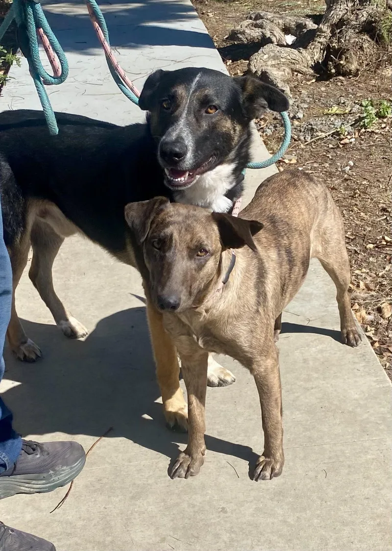 Thornton thumbnail 3