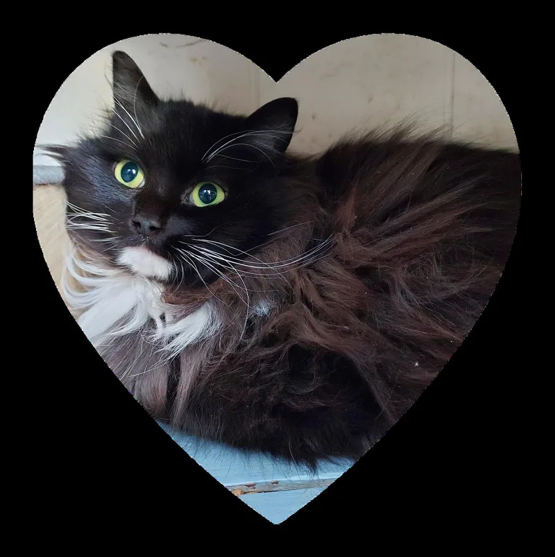 Lois And Nathan thumbnail 2