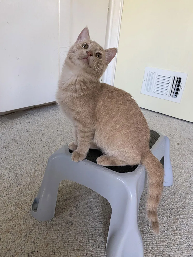 Hobbiton thumbnail 2