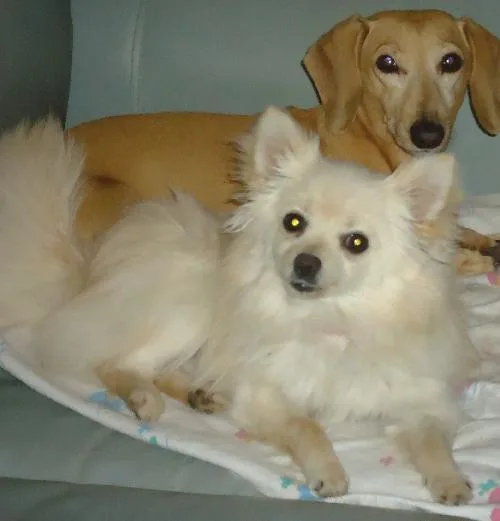 Mya. Now   thumbnail 2