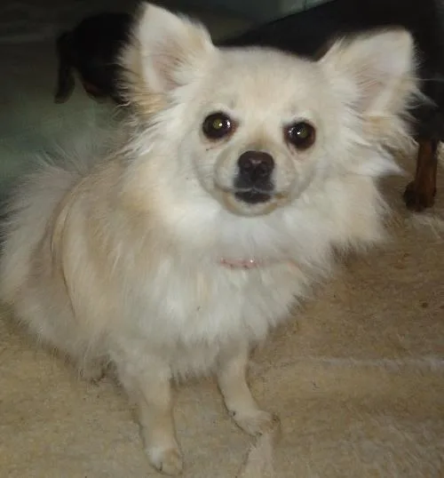 Mya. Now   thumbnail 3