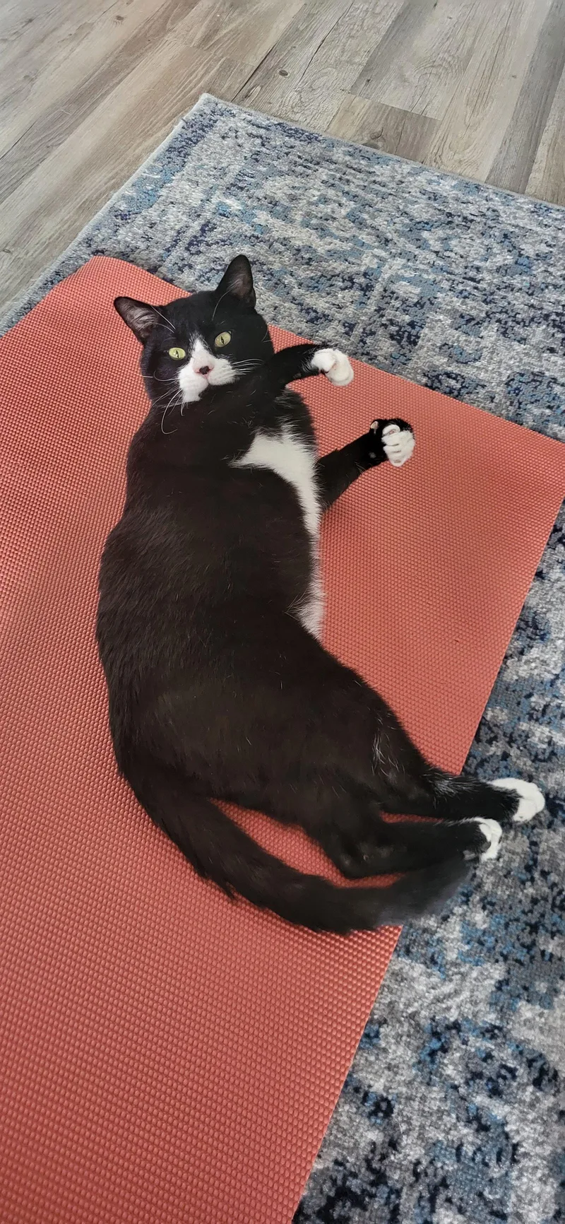 Tiny Tim thumbnail 3