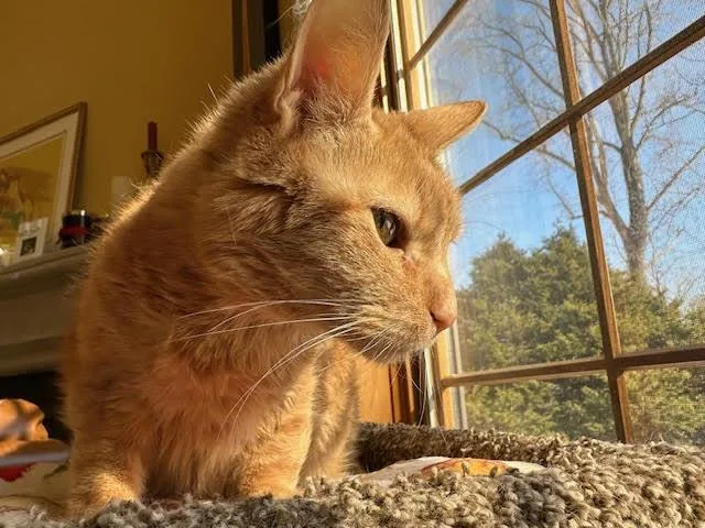 Trudy Medical Needs thumbnail 2