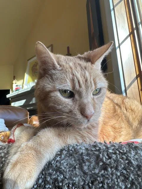 Trudy Medical Needs thumbnail 3