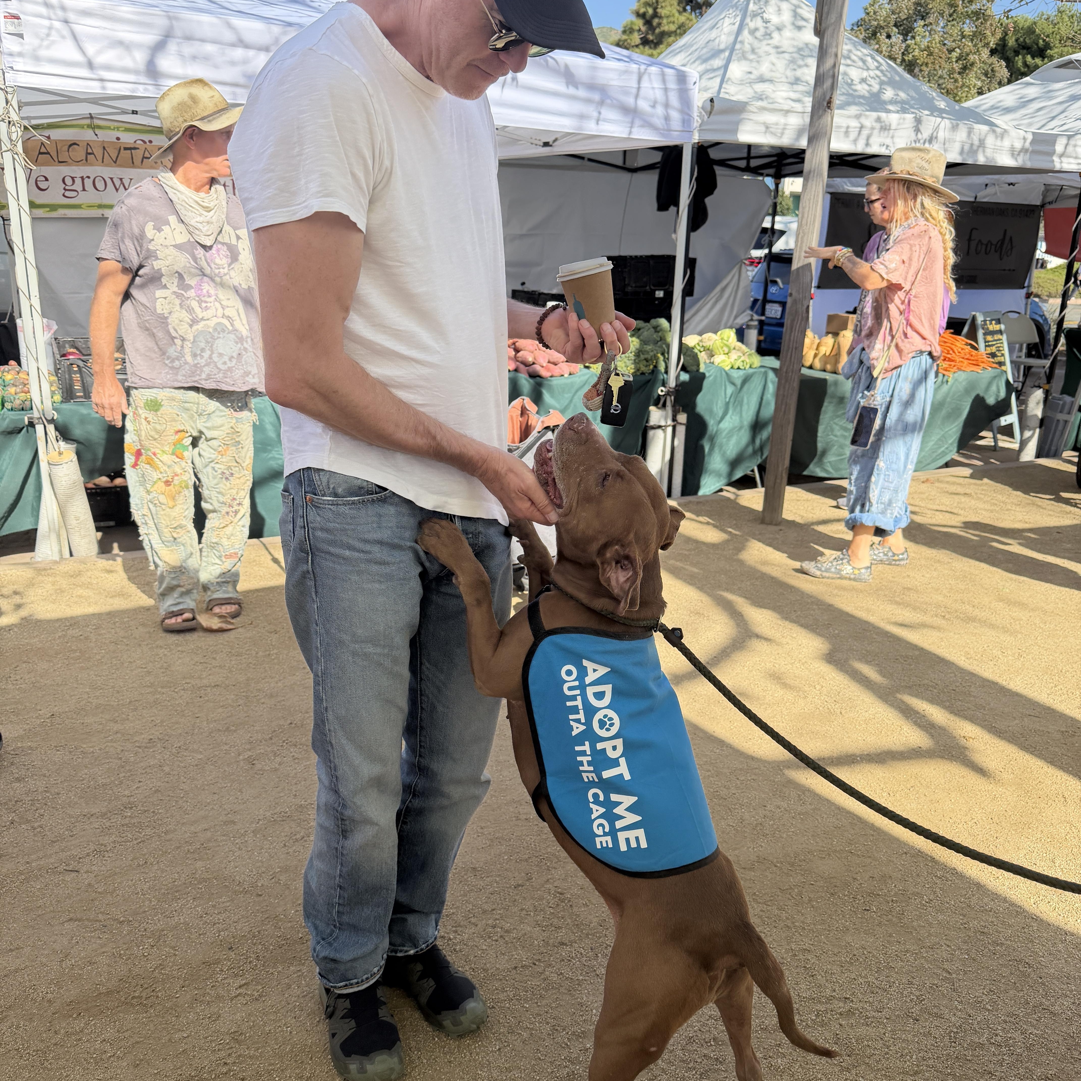 Valentina thumbnail 3