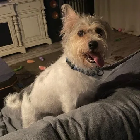 Charlie thumbnail 2