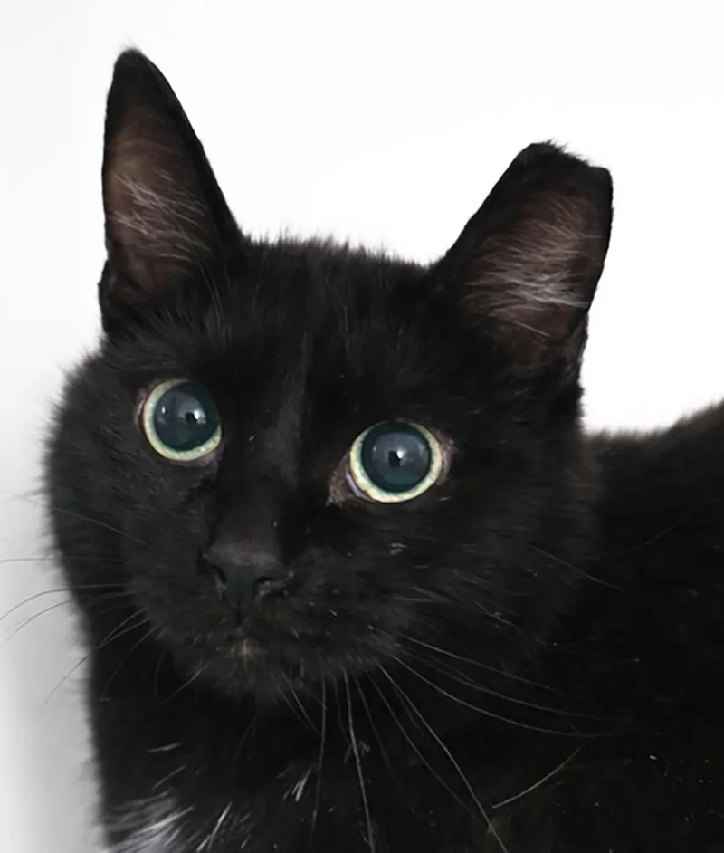 Cinemark thumbnail 2