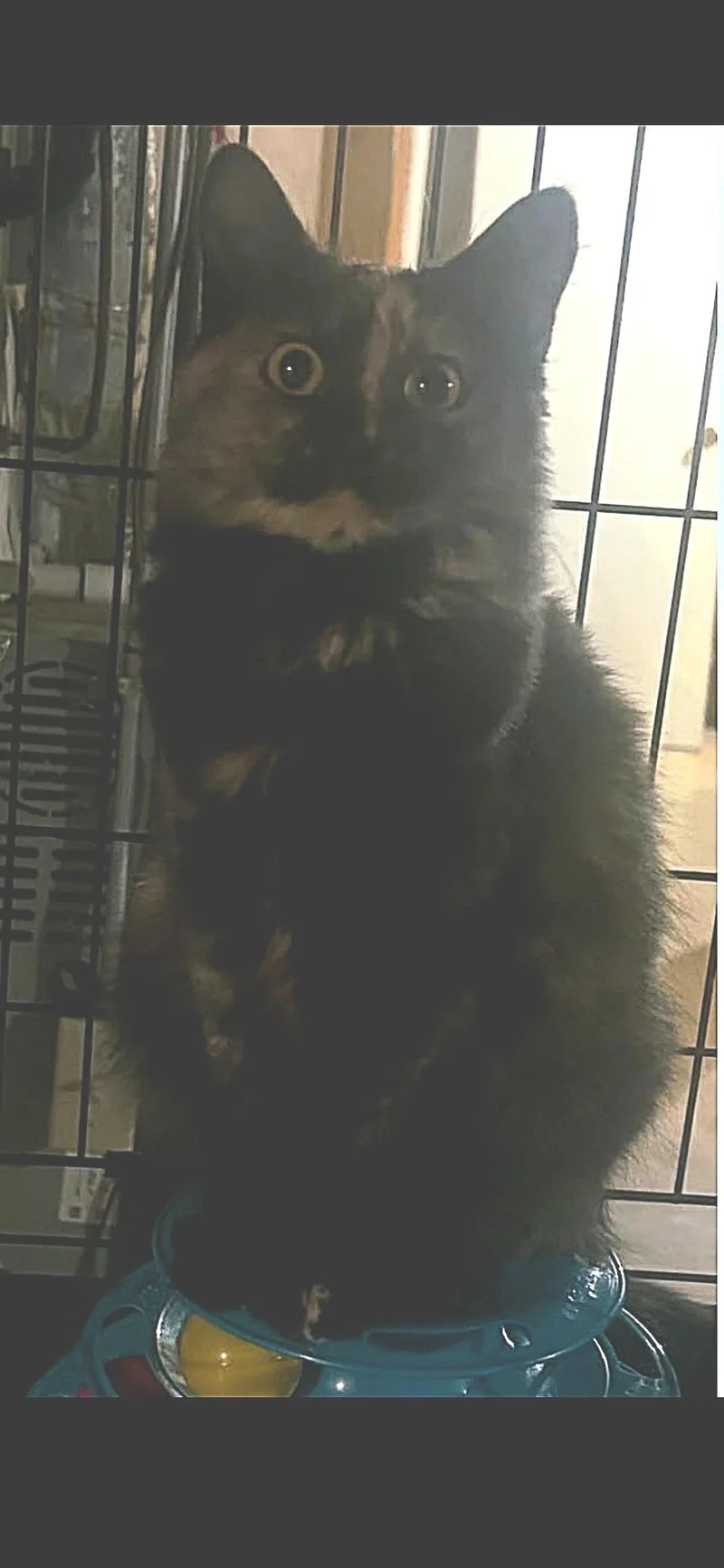 Mary Kate thumbnail 2