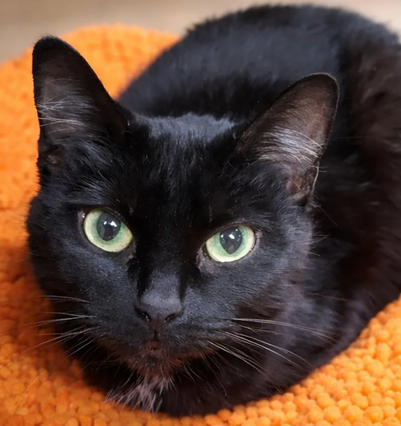 Birdo @ Medina Petsmart thumbnail 2