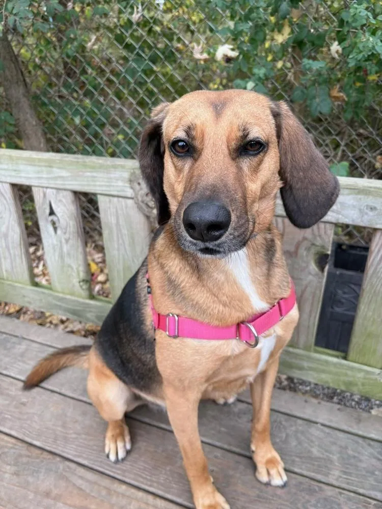 Buster Brown thumbnail 5