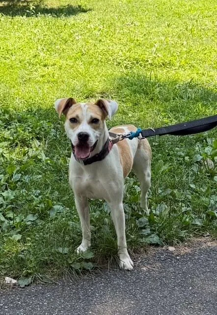 Marshmello thumbnail 3