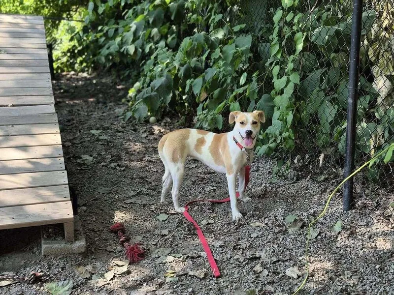 Marshmello thumbnail 4