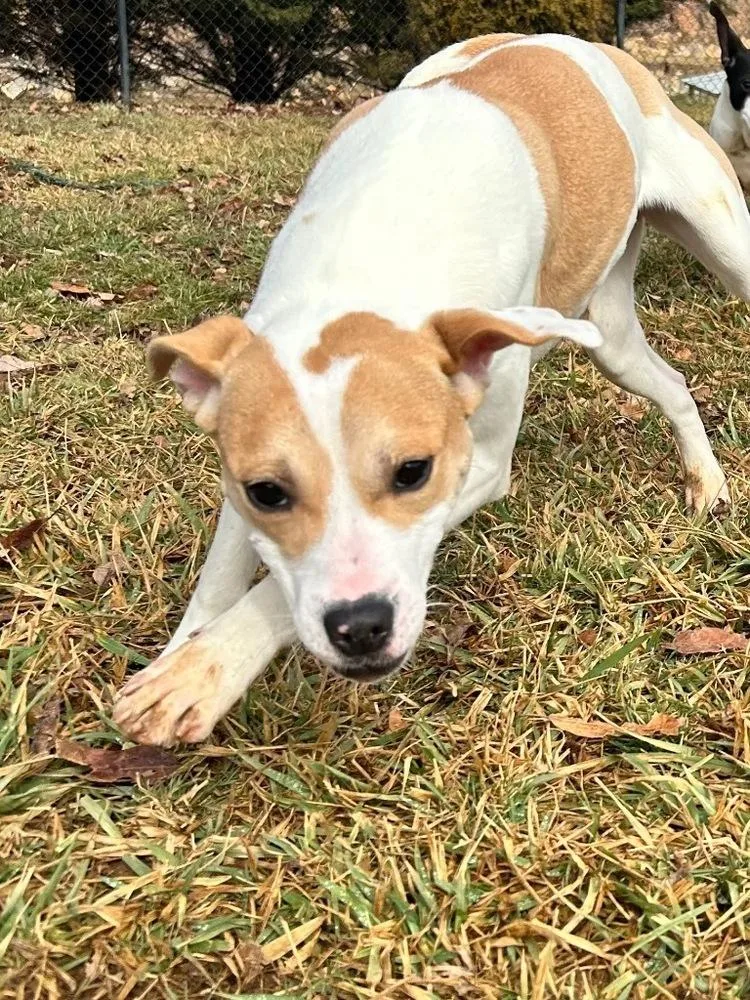 Marshmello thumbnail 5