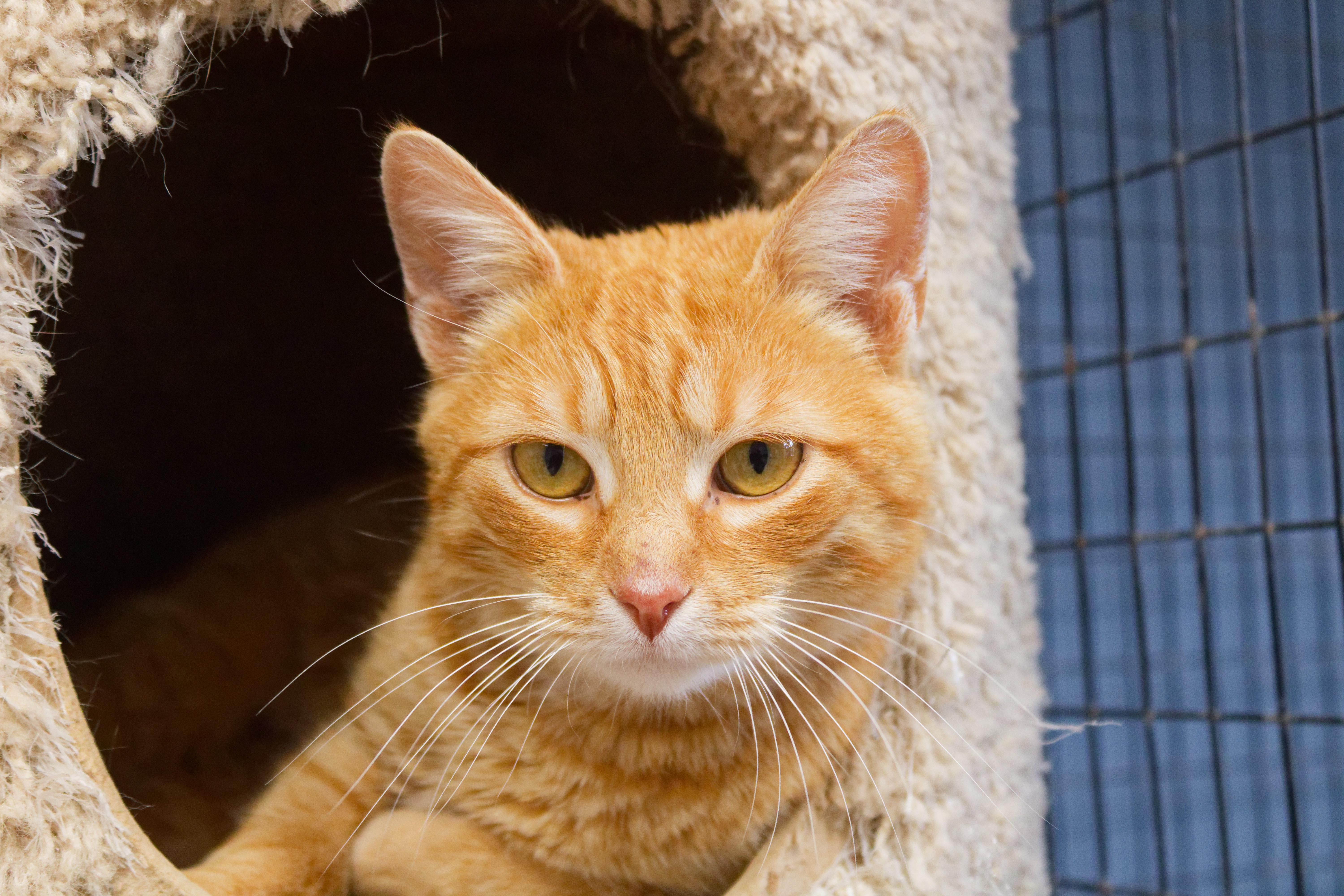 Persuasian thumbnail 5