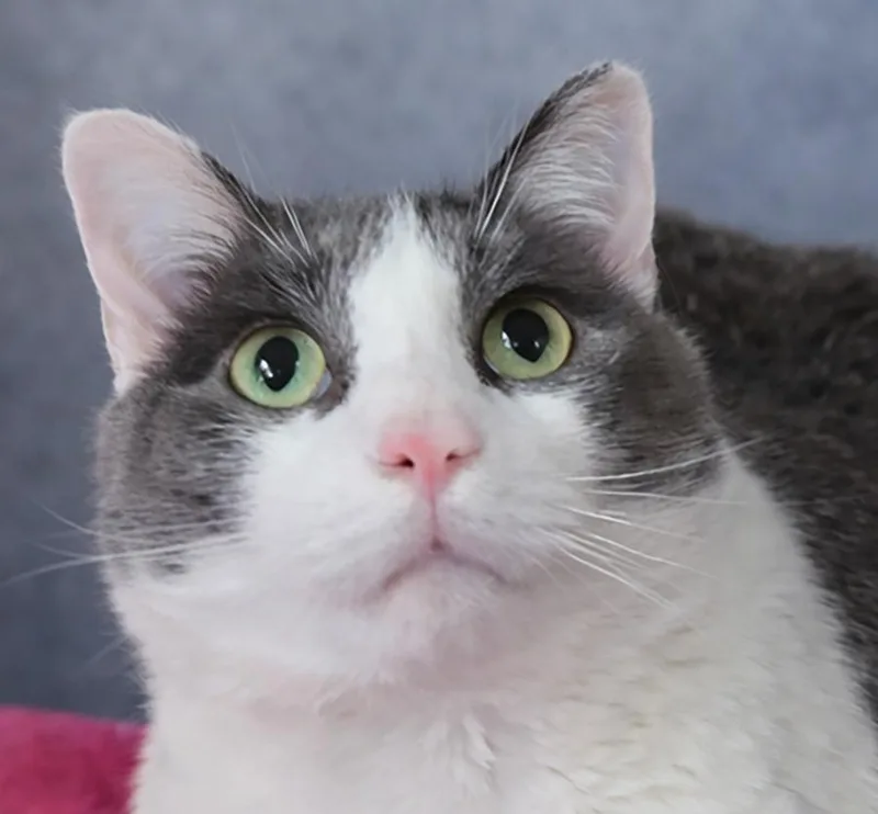 Jimmy Neutron thumbnail 2