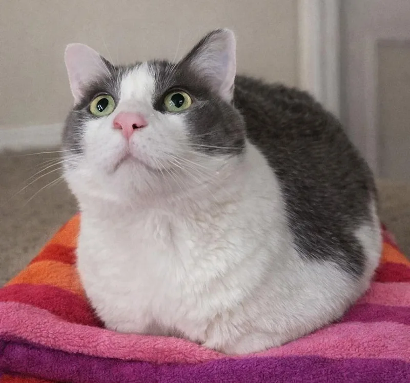 Jimmy Neutron thumbnail 3