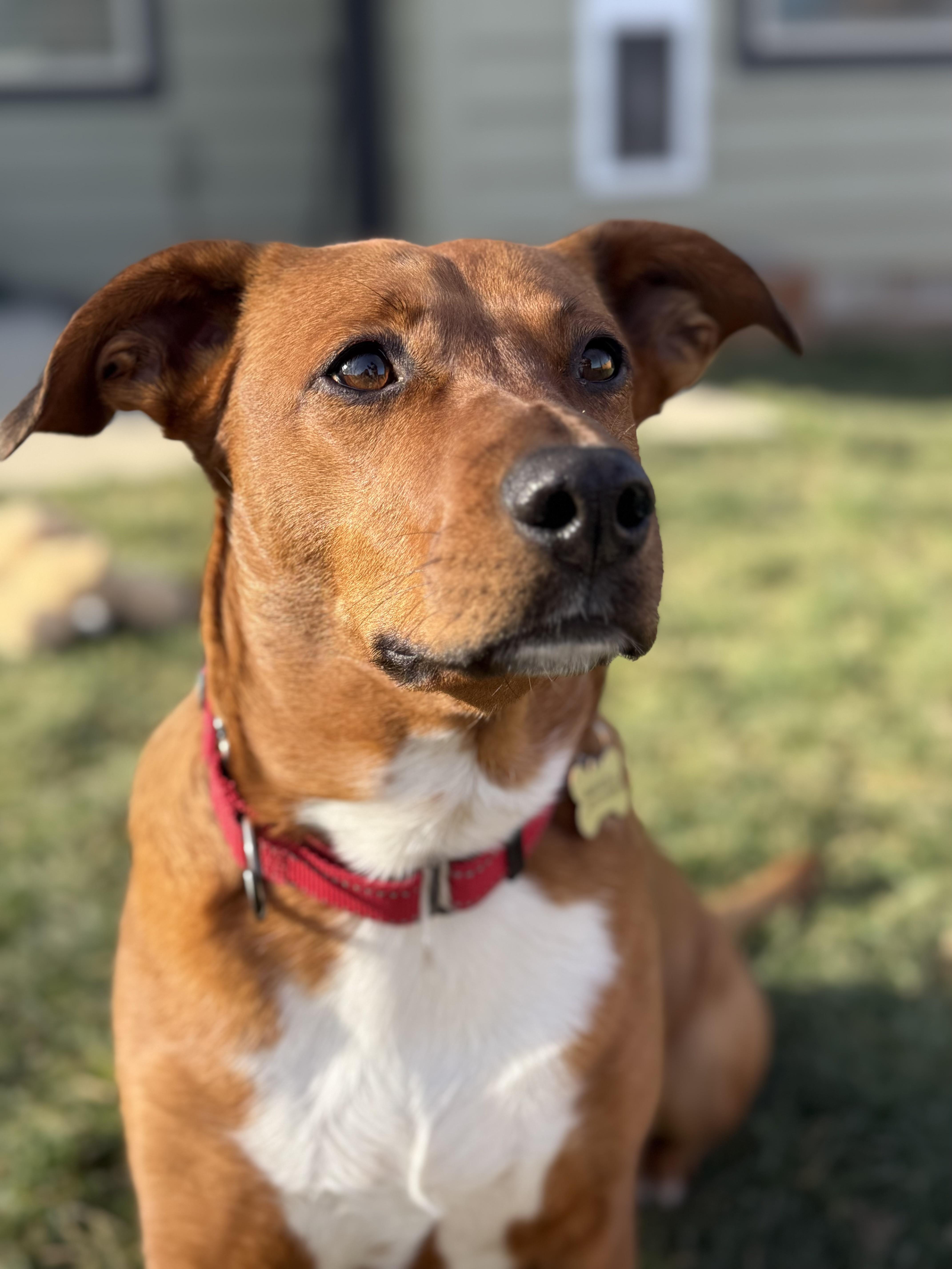 Starlight thumbnail 2