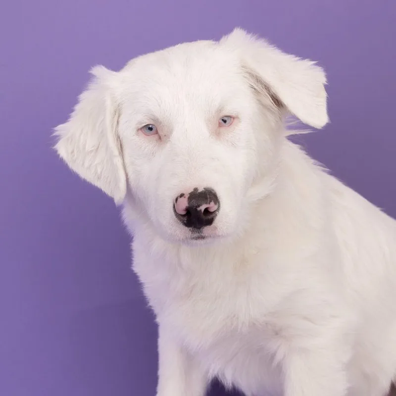 Frostyspecial Needs thumbnail 2