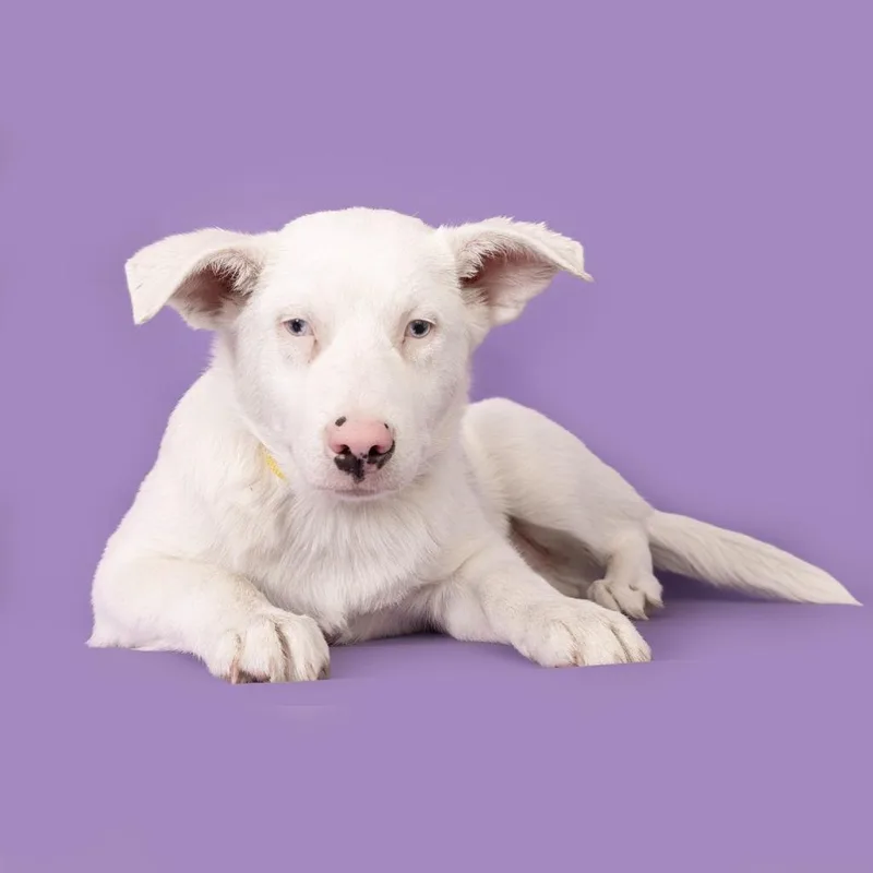 Frostyspecial Needs thumbnail 4