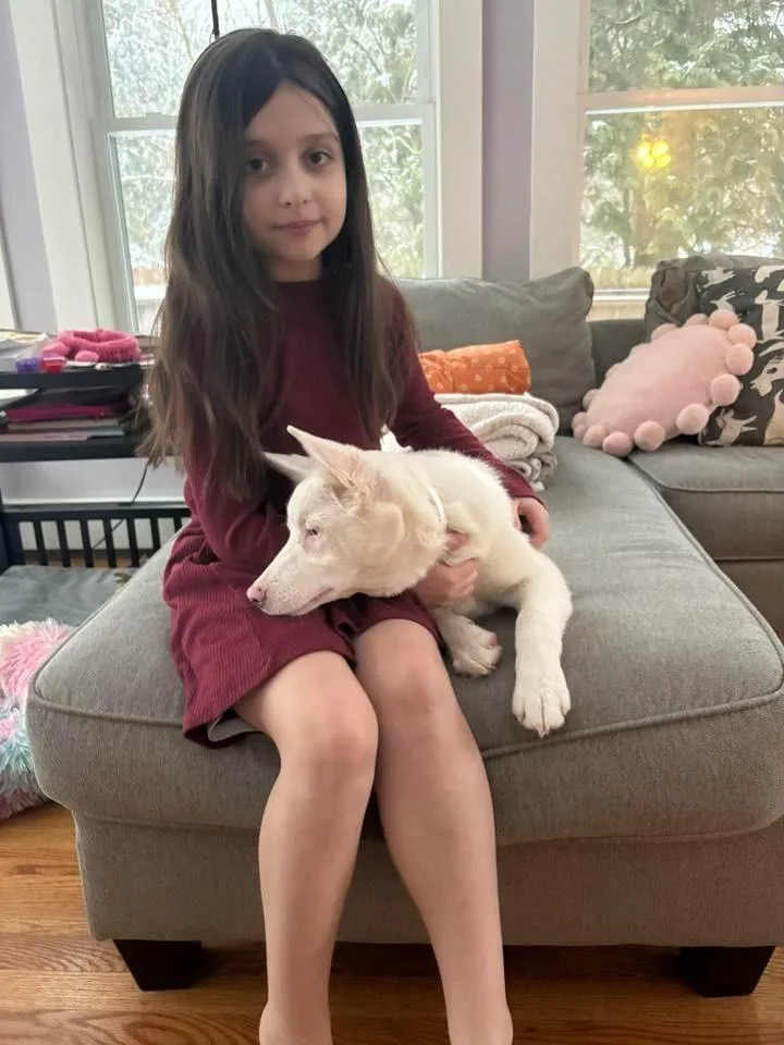 Powder Special Needs thumbnail 6